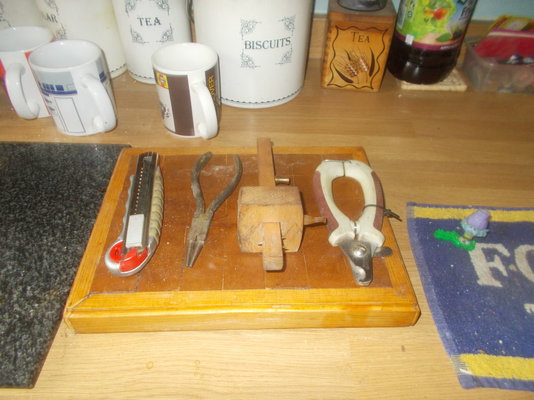 DSCN1307.JPG