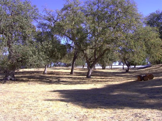 PICT0058 (Medium).JPG