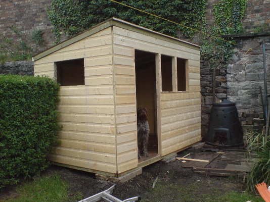 shed.jpg