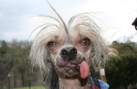 ellie_ugly_3_1_-457x298.jpg