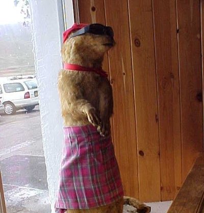 Me Kilt.JPG