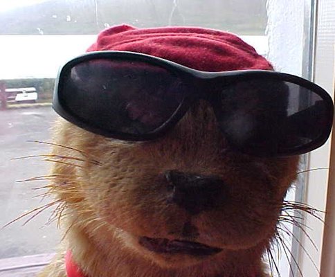 Cool Eh.JPG