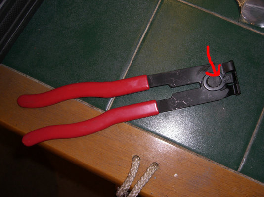 CIMG9187 resized.JPG