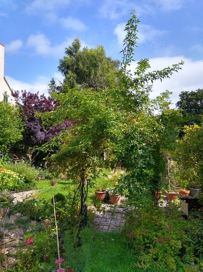 IMG_20210818_145809455_HDR[1].jpg
