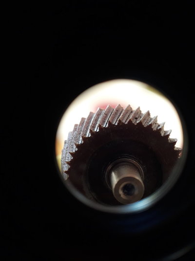 20210829_180110.jpg