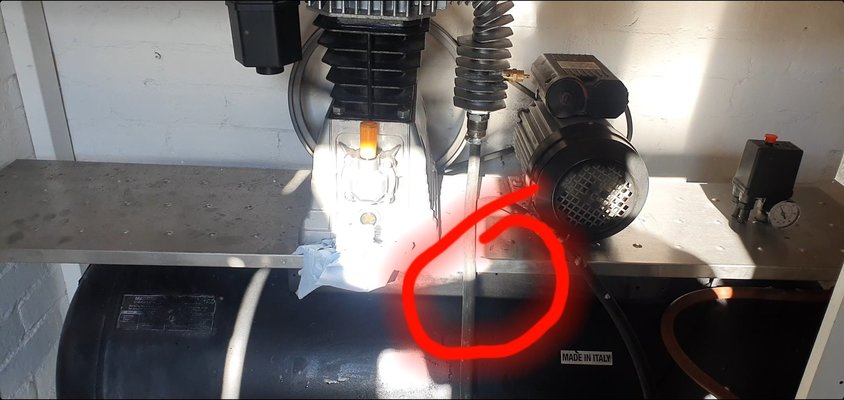 Screenshot_20210927-071508_Gallery.jpg Screenshot_20210927-071508_Gallery.jpg