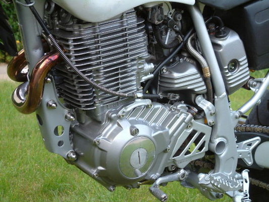 ttr00007.JPG