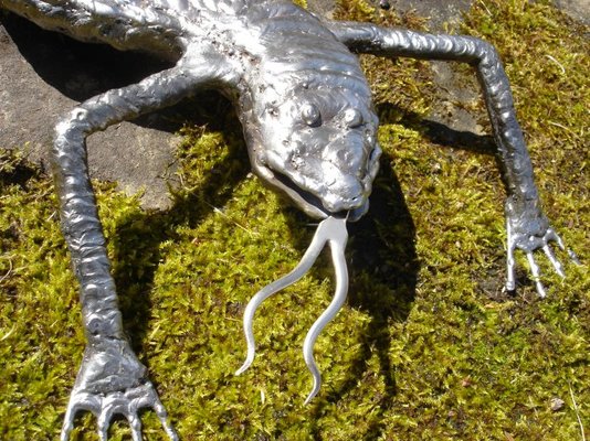 Lizard 005.jpg Lizard 005.jpg