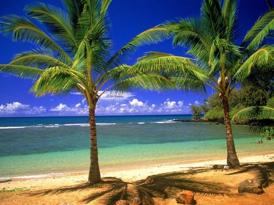 tropical_lagoon-normal.jpg