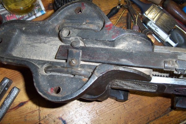 parkinson_underside.jpg