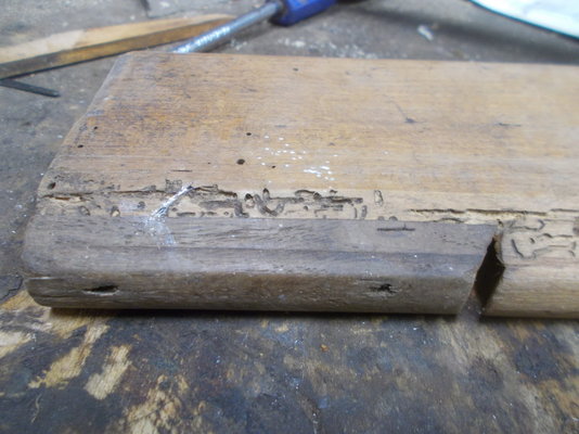 DSCN2575.JPG