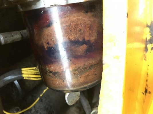 Sediment-Bowl-Full.jpg