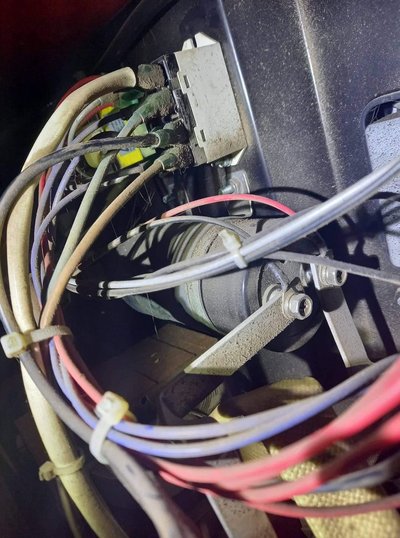 9C1512F3-3974-4BC4-A5A7-C69B6AB8961E.jpeg 9C1512F3-3974-4BC4-A5A7-C69B6AB8961E.jpeg