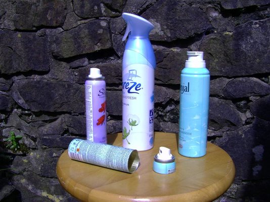 PICT0002 (Medium).JPG