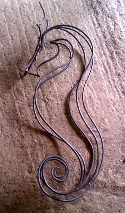 IMAG0883.jpg