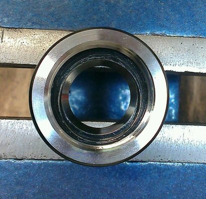 IMAG0076_1.jpg