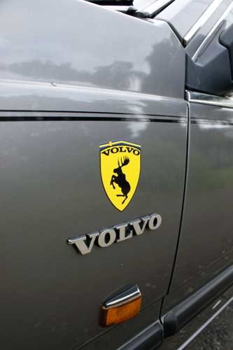 prancing-moose.jpg