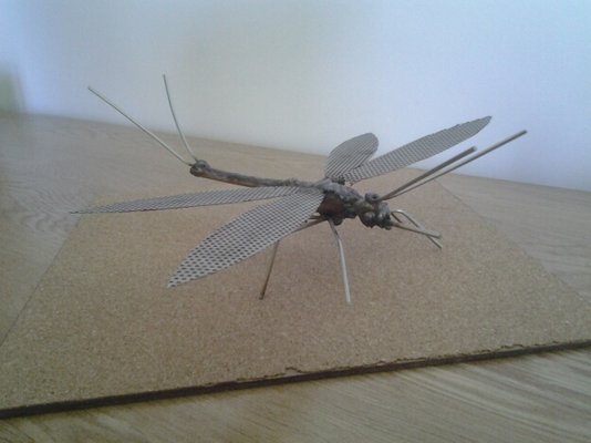 Dragonfly2.jpg