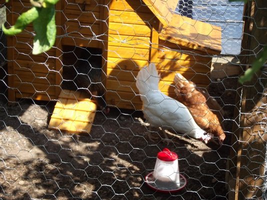 2013-07-07 15.32.23.jpg