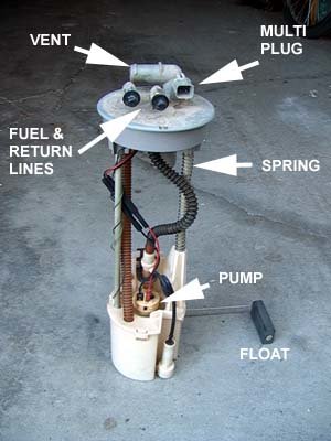fpump4.jpg