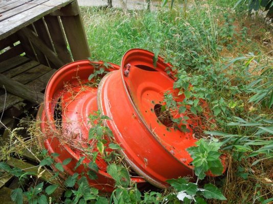 wheel.jpg