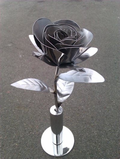 Pauls stainless Rose.jpg