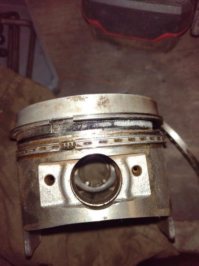 thumbnail (10).jpg thumbnail (10).jpg