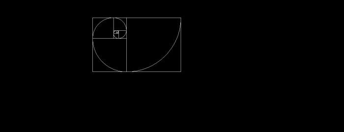 dickies spiral.jpg