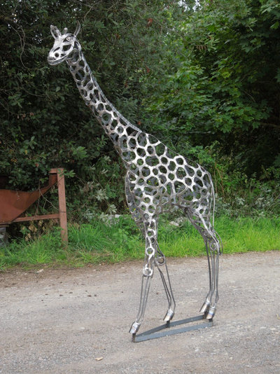 giraffe prerust 008.JPG