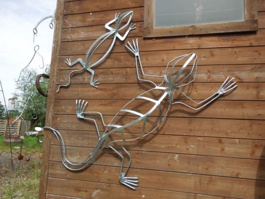 shiny lizards 003.jpg