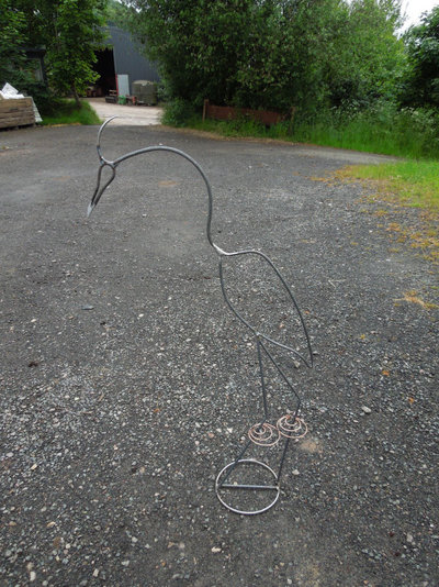 Heron with rings.JPG