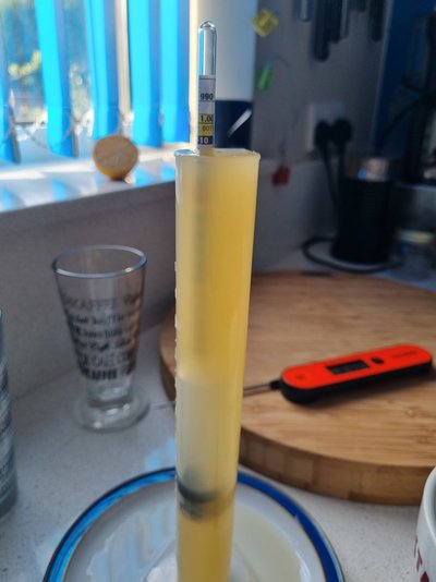 20220823_170759.jpg