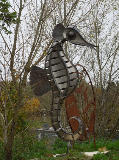 Seahorse prerust1.JPG