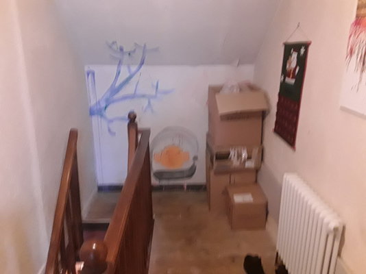 20230102_112906.jpg