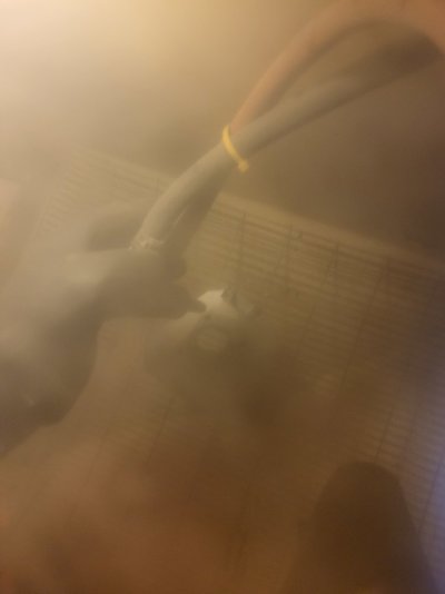 20230105_103531.jpg