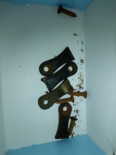 IMG_20230117_112200_658.jpg