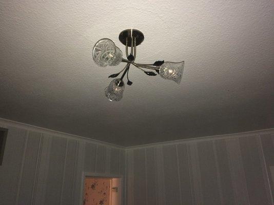 Lighting bugs 007.JPG