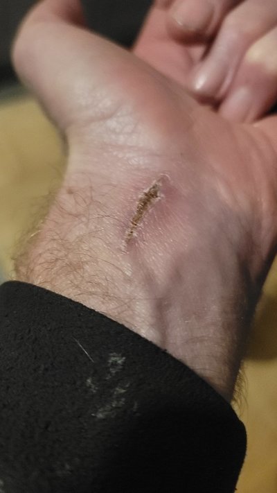 20230128_175604.jpg