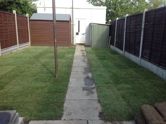 lawn.jpg