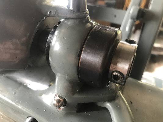 hauser1.jpg