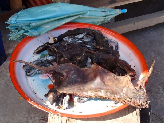 Barbecued_Bat_at_Udomxai_Bus_Station_in_Laos.jpg