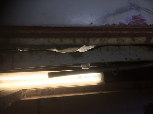 Escort rear LH floorpan 017.JPG