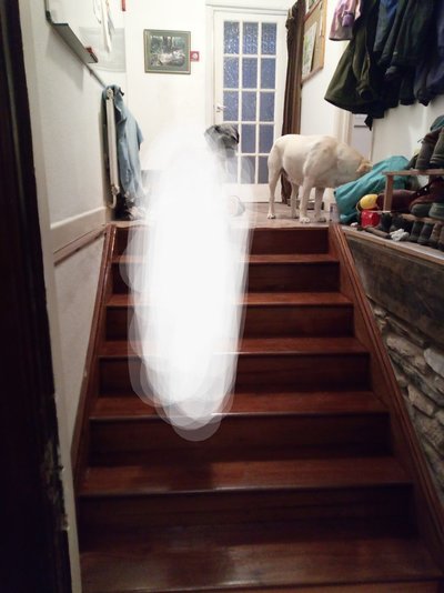 IMG_20221124_074349_591~2.jpg IMG_20221124_074349_591~2.jpg