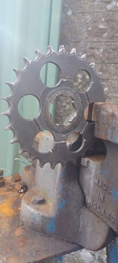 20230330_120830.jpg 20230330_120830.jpg
