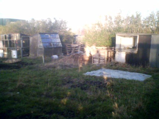 05-02-07_1605.jpg