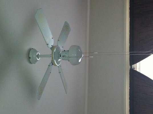 fan.jpg