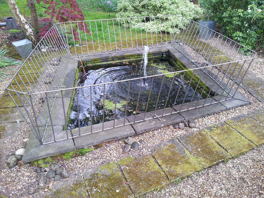 pond 6.jpg