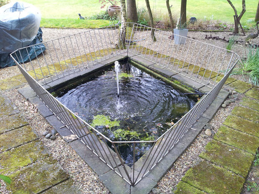 pond 7.jpg