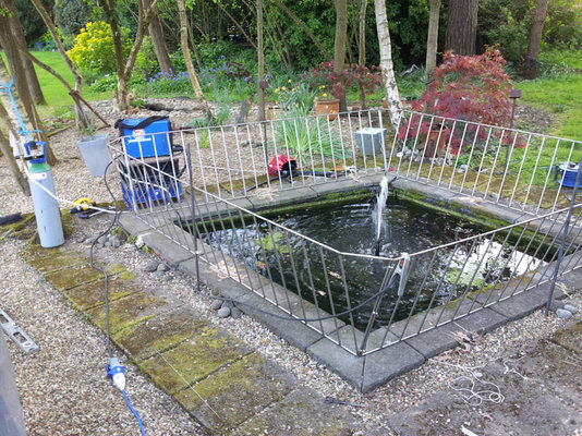 pond 4.jpg