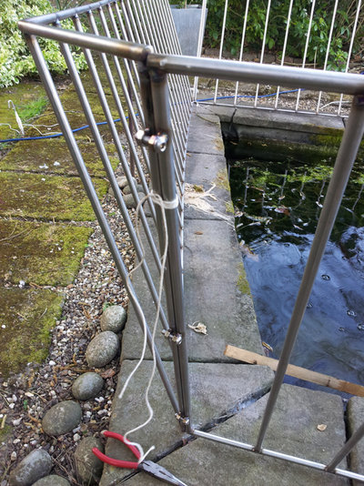 pond 5.jpg